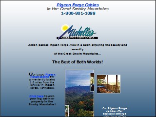 Web site www.mvcabins.com, Michelle's Mountain View Cbns